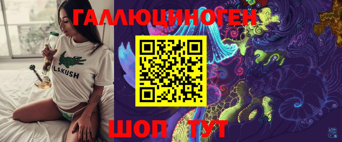 Псилоцибиновые грибы Cubensis Ялта